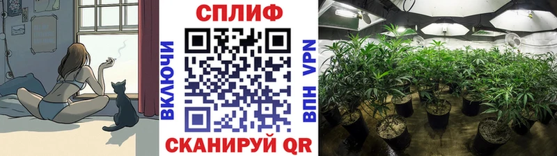 Где купить Владивосток АМФ Меф мяу мяу Героин СК ГАШИШ
