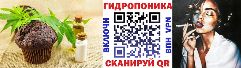 mega ONION  купить   Владивосток  Canna-Cookies конопля 