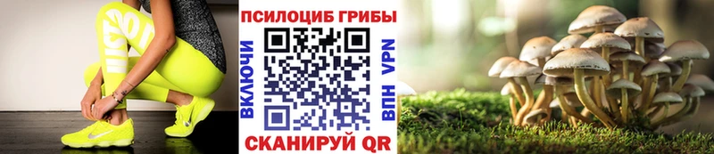 Галлюциногенные грибы MAGIC MUSHROOMS  хочу наркоту  Владивосток 