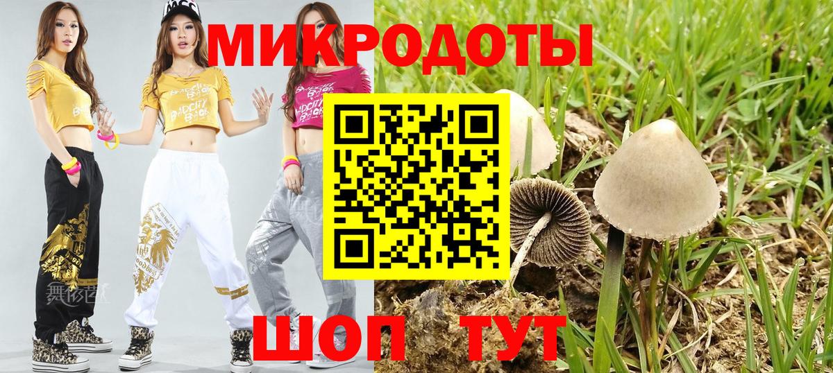 APVP Владивосток