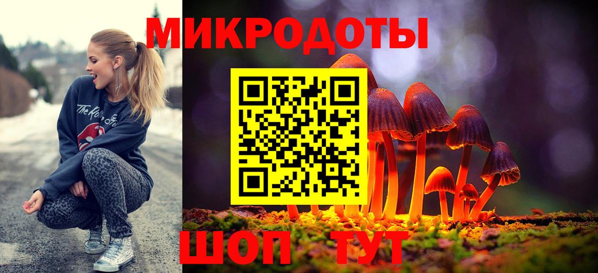 Псилоцибиновые грибы мицелий Владивосток