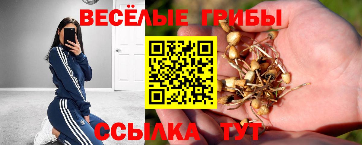 МЕФ   Владивосток  Каннабис  Кетамин  ГАШ  Вход с VPN  A PVP СОЛЬ   ГАШИШ 