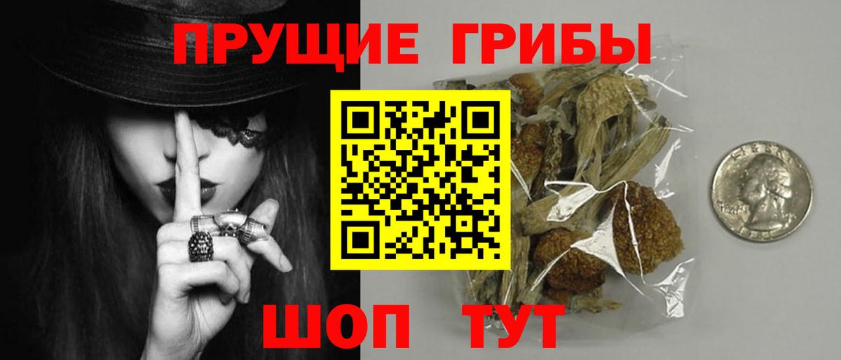 Псилоцибиновые грибы Magic Shrooms  Вход с VPN  Владивосток 